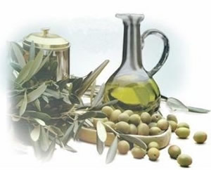Aceitunas y Aceite de Oliva