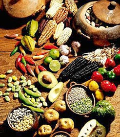 Alimentación Saludable