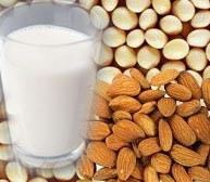 L&aacute;cteos vegetales