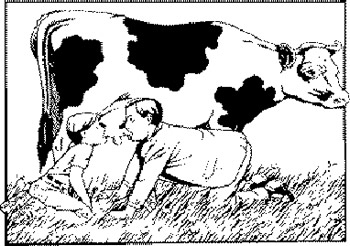 Tomando leche vacuna