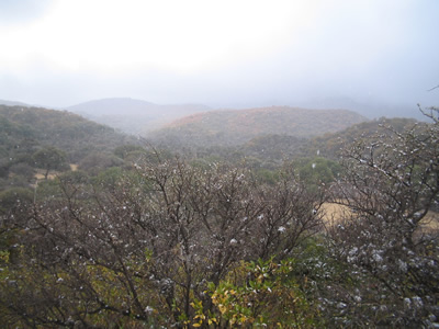 Nevada en las Sierras