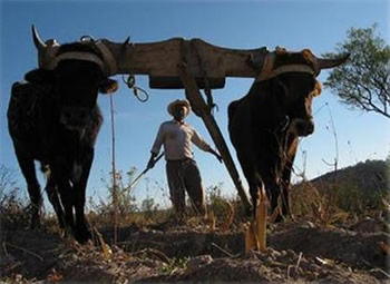 Mixteca - M&eacute;xico