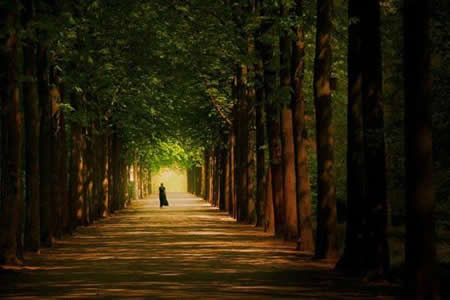 ¿Peras al olmo o amor a ti mismo?