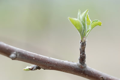 Cuando lo Único que Queda es Dios