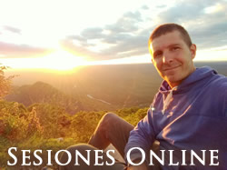 Sesiones Online o Presenciales